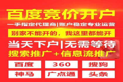 某某SEM服务公司如何帮助企业实现ROI最大化